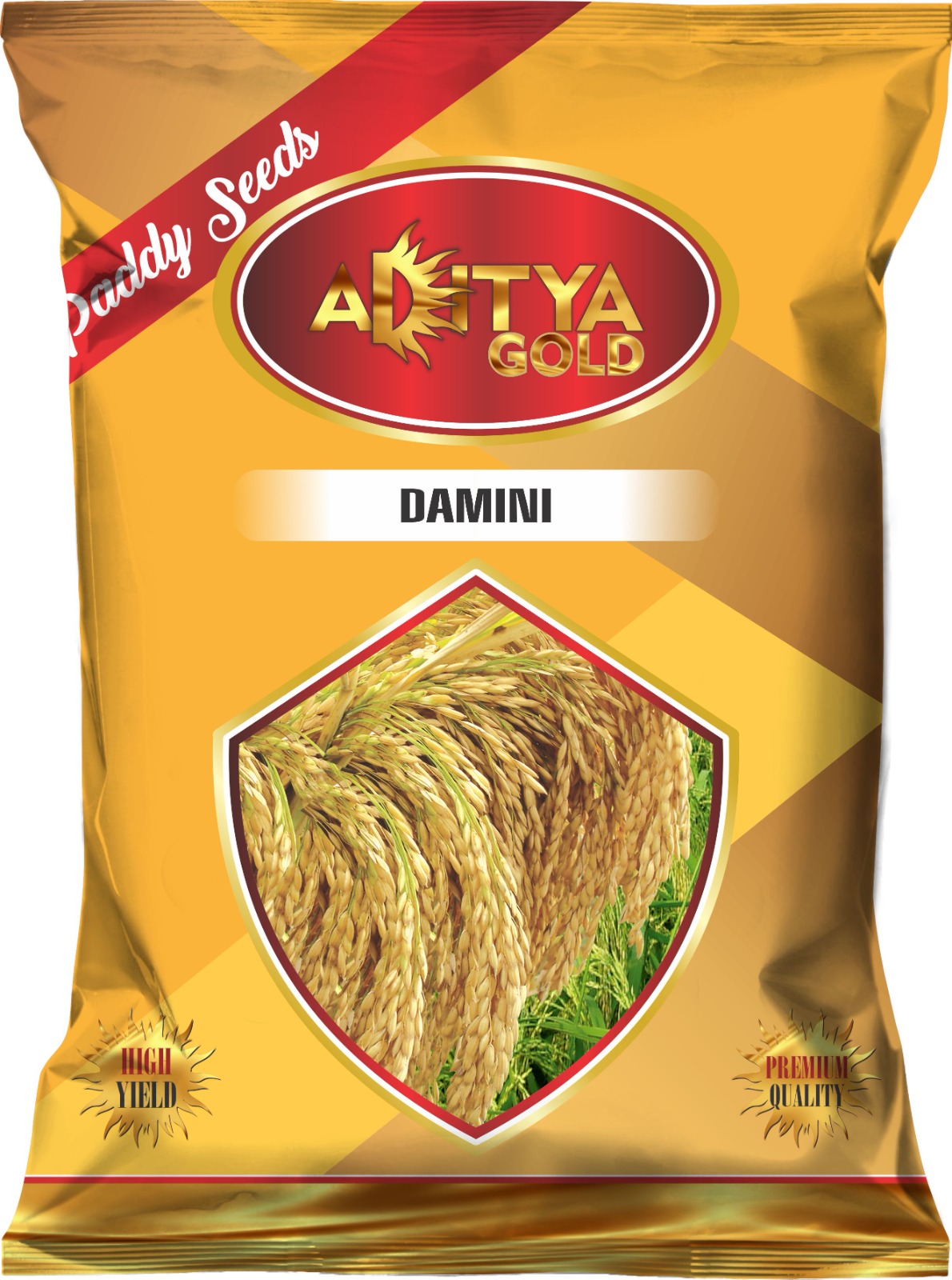 WhatsApp Image 2024-04-21 at 14.25.28 (2)